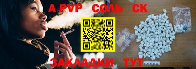 спайс Кингисепп