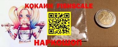 спайс Кингисепп