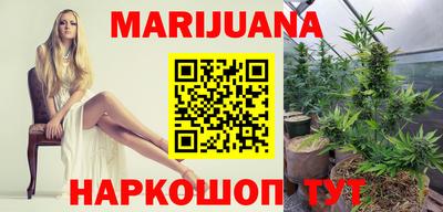 спайс Кингисепп
