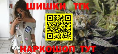 спайс Кингисепп