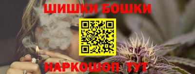 спайс Кингисепп