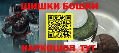 спайс Кингисепп