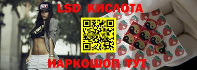 спайс Кингисепп