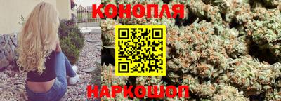 спайс Кингисепп