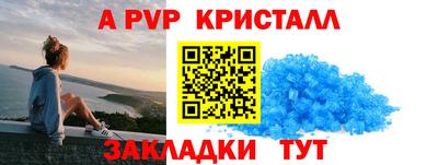 спайс Кингисепп