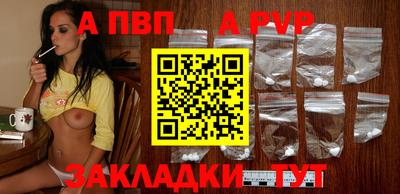 спайс Кингисепп