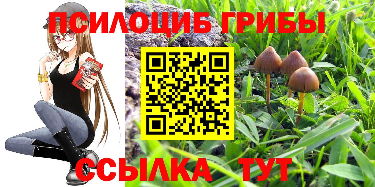 купить  цена  Псилоцибиновые грибы GOLDEN TEACHER  Вход с VPN  Димитровград 